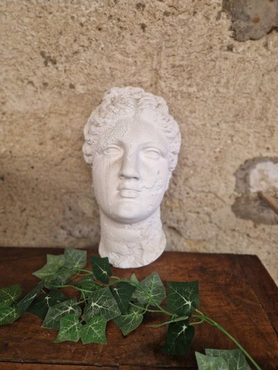 Antica scultura artistica a grandezza naturale con busto di Venere in gesso su placca da muro