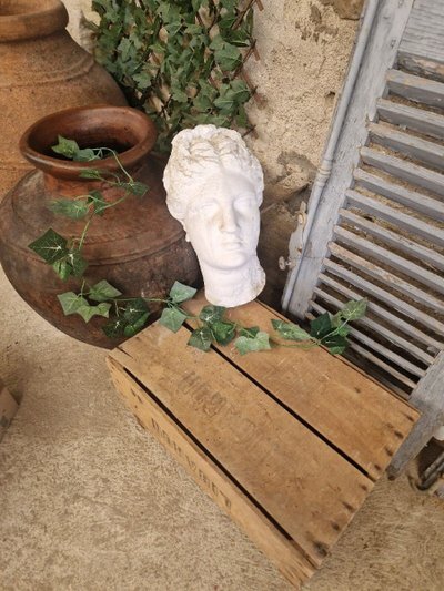 Antica scultura artistica a grandezza naturale con busto di Venere in gesso su placca da muro