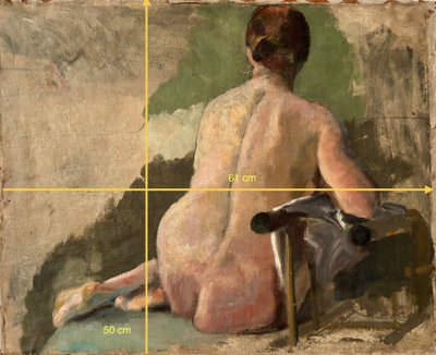 Back model, nude woman