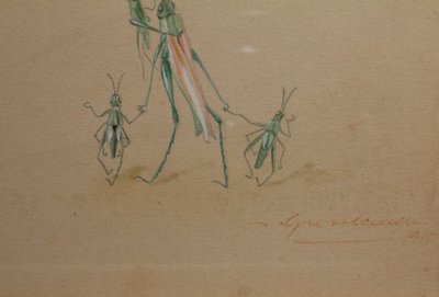 Studi umoristici raffiguranti insetti, disegno a guazzo firmato intorno al 1910