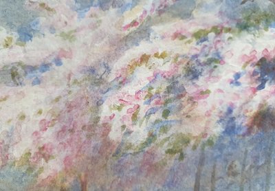 Aquarelle de cerisiers en fleurs d'après E. M. B. Warren