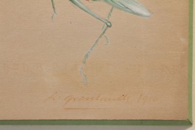 2 humorvolle Studien, die Insekten in Gouache darstellen, signiert zwischen 1910 und 1920