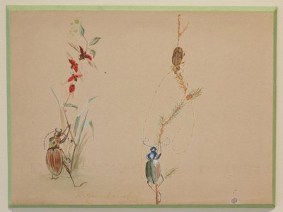 2 humorvolle Studien, die Insekten in Gouache darstellen, signiert zwischen 1910 und 1920