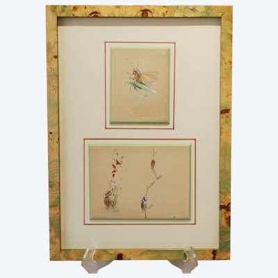 2 humorous studies representing insects in gouache signed between 1910 and 1920