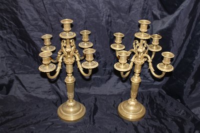 Pair of bronze candelabra candlesticks with 5 light arms in the Louis XVI style, 19th century