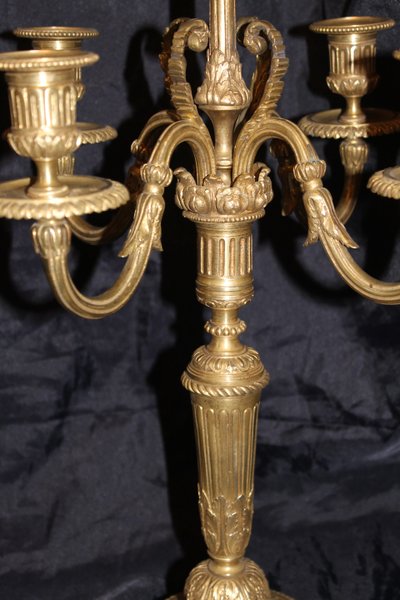 Paire de chandeliers candélabres en bronze à 5 bras de lumière de style Louis XVI époque 19ème