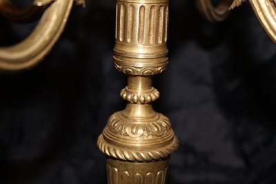 Pair of bronze candelabra candlesticks with 5 light arms in the Louis XVI style, 19th century