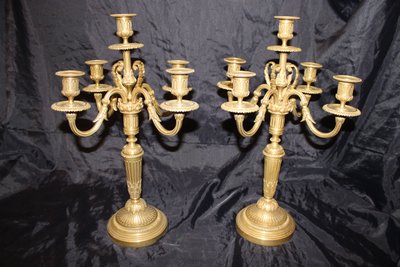 Paire de chandeliers candélabres en bronze à 5 bras de lumière de style Louis XVI époque 19ème