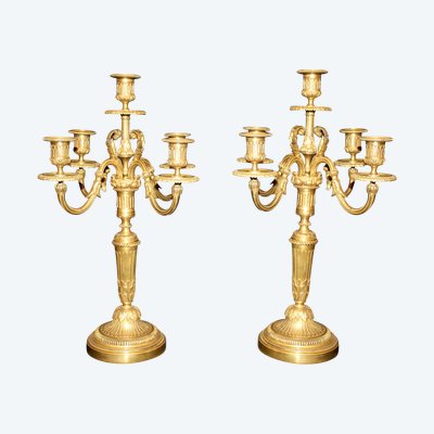 Paire de chandeliers candélabres en bronze à 5 bras de lumière de style Louis XVI époque 19ème