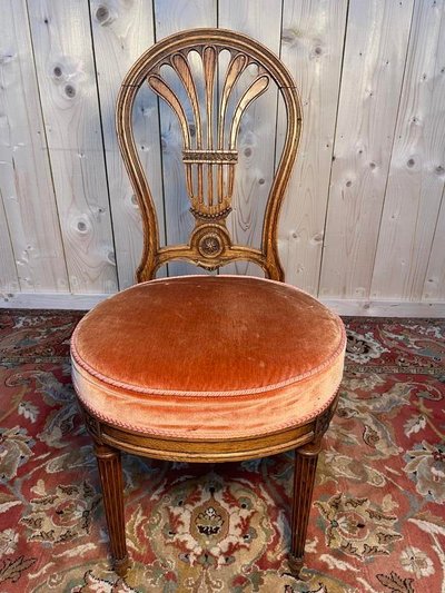 Continuation of 6 "hot air balloon" chairs in Louis XVI oak