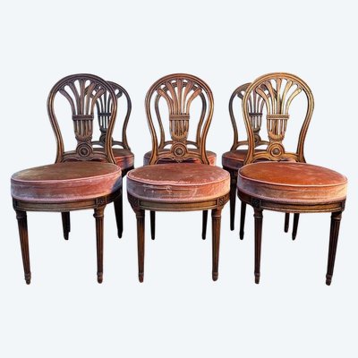 Continuation of 6 "hot air balloon" chairs in Louis XVI oak