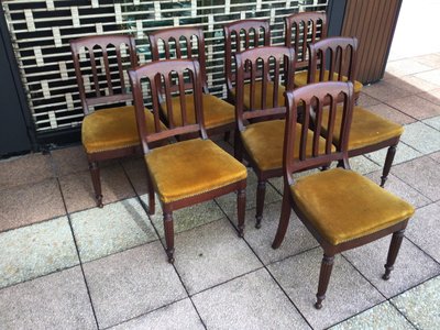 Eight 19th-century mahogany chairs