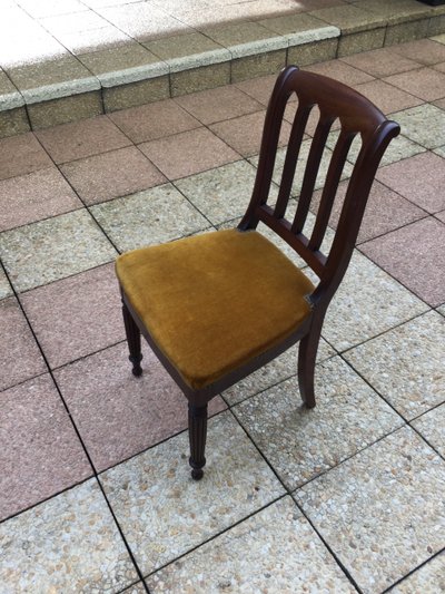 Eight 19th-century mahogany chairs