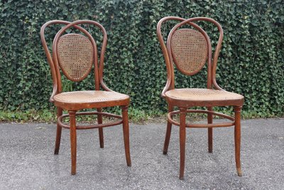 Pair De Chaises en Bois Courbé De Kohn Modèle 33