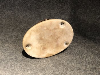 Coquillage Monté En Casque Formant Boîte, XIXe Siècle