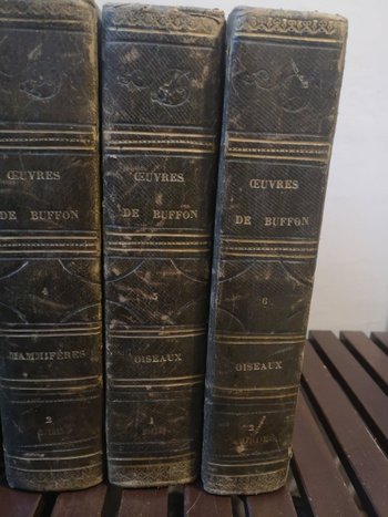 Complete Works of Buffon - Printed by H. Fournier et Cie. - 1840