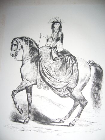 On horseback riding and stud farms by Count Savary de Lancosmes- Breves 1843