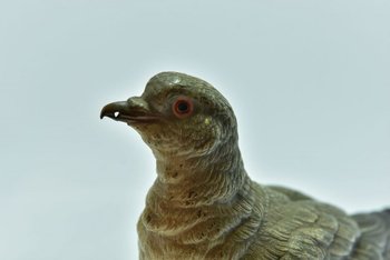             Pigeon Biset Bronze De Vienne taille réelle Geschultz époque XIXème            