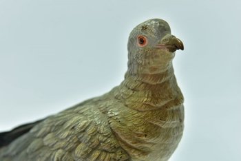             Pigeon Biset Bronze De Vienne taille réelle Geschultz époque XIXème            