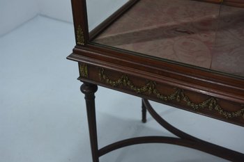 Showcase 1900 period Louis XVI style