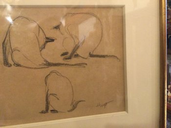 Hélène VOGT "cat study