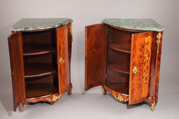 Pair of Louis XV period Flower Marquetry Coatings