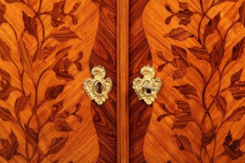 Pair of Louis XV period Flower Marquetry Coatings