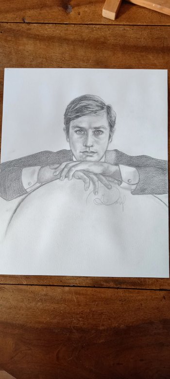 Gray pencil drawing/ portrait of Alain Delon 2014