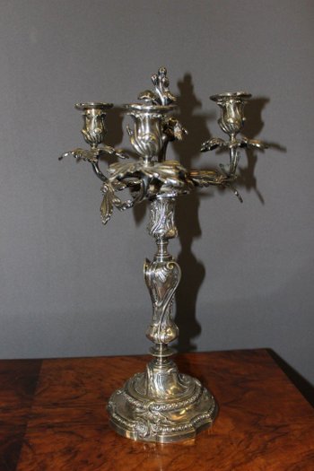 Paar Kerzenhalter Im Stil von Louis XV Aus Bronze Versilbert XIX