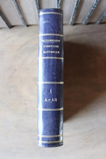 Dictionnaire Classique d'Histoire Naturelle De 1822