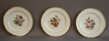  Series of Plates In Paris With Botanical decoration XIXth