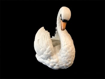 Large Swan In Biscuit Porcelain Of 19th Century ( Large Cache- Pot)