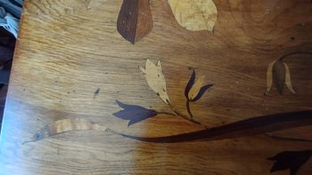 Table of living room with flaps in marquetry in the Gallé taste