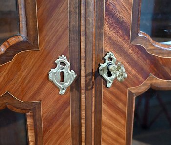 Bookcase in Rosewood and Indigenous, Louis XV period – 18th century