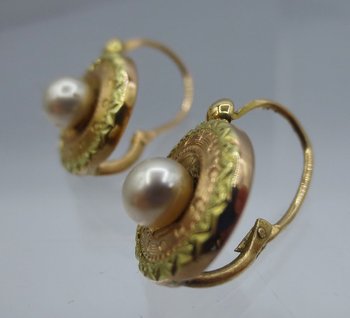 Gold Earrings.