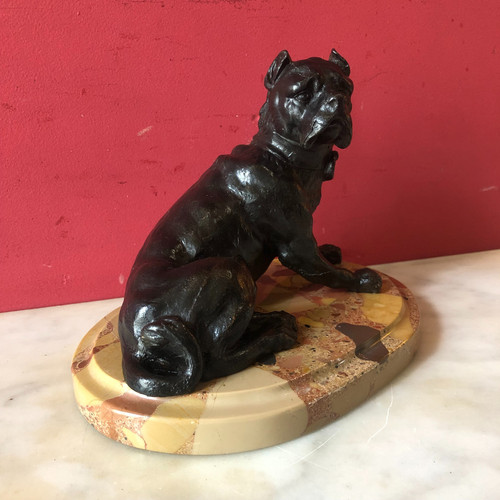 Mastiff, XXème siècle