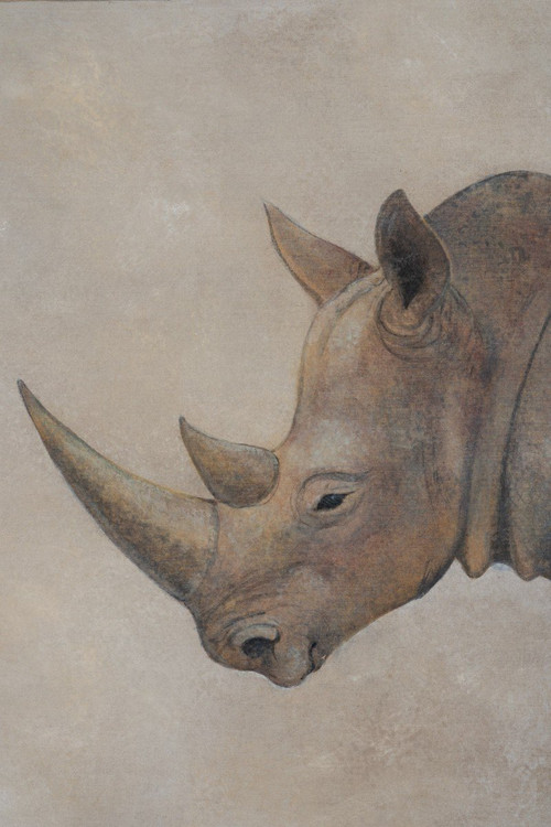 Painted Canvas, Rhinoceros, Contemporary Work, LS56421351A