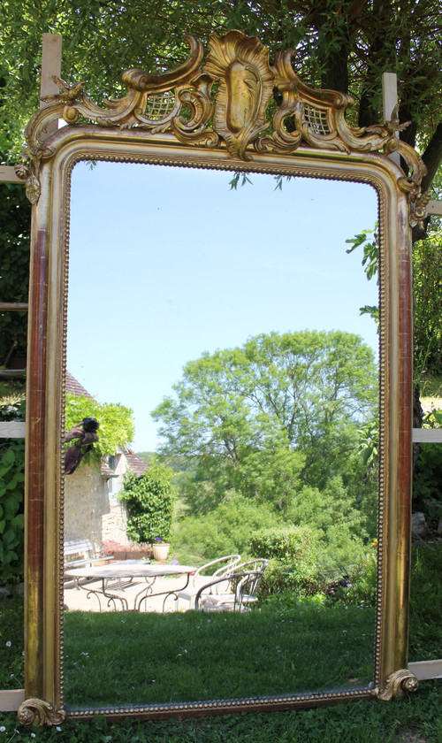 Very Large Antique Floor Standing Mirror, Gold Leaf, Mercury Ice, 135 X 213 Cm