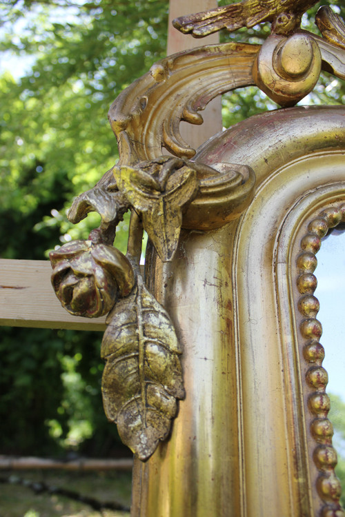 Very Large Antique Floor Standing Mirror, Gold Leaf, Mercury Ice, 135 X 213 Cm