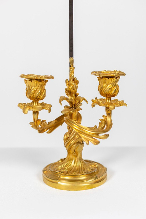 Schirmlampe im Rocaille-Stil aus vergoldeter Bronze, um 1880, LS51961651A