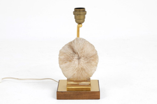 Lampe aus Korallenpilzen, Pilzen und goldenem Messing, 1970er Jahre – Ls382481