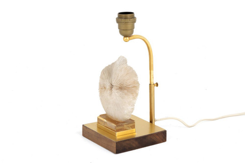 Lampe aus Korallenpilzen, Pilzen und goldenem Messing, 1970er Jahre – Ls382481