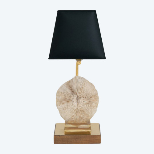 Lampe aus Korallenpilzen, Pilzen und goldenem Messing, 1970er Jahre – Ls382481