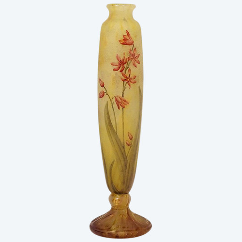 Vaso Piedouche Pâte de Verre Daum Nancy Fleurs Lys Lis Art Nouveau XIX secolo