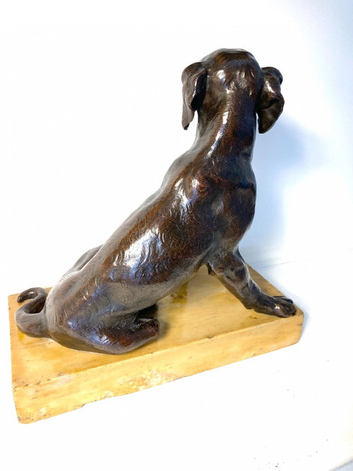 Scultura in bronzo patinato di un cane seduto, scuola francese del XIX secolo