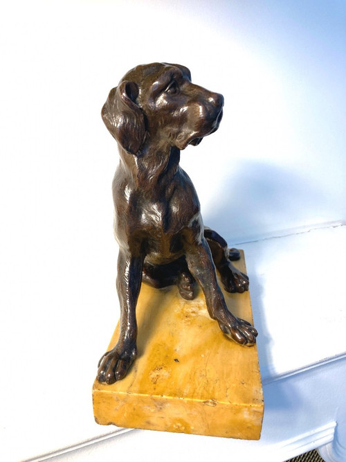 Scultura in bronzo patinato di un cane seduto, scuola francese del XIX secolo