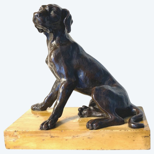 Scultura in bronzo patinato di un cane seduto, scuola francese del XIX secolo