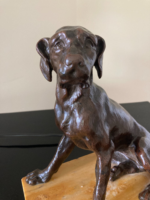 Scultura in bronzo patinato di un cane seduto, scuola francese del XIX secolo