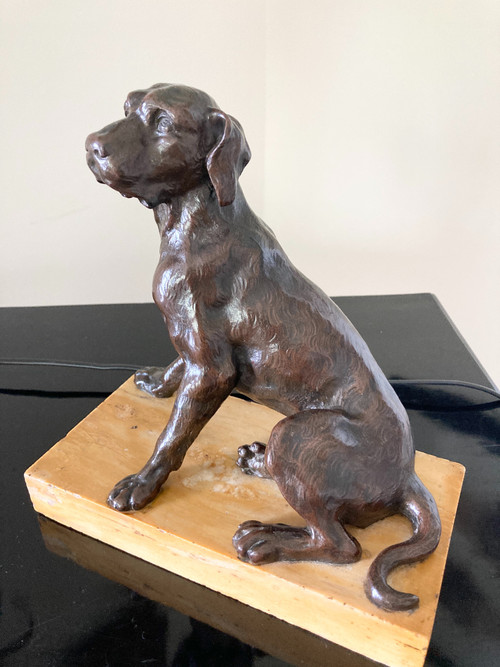 Scultura in bronzo patinato di un cane seduto, scuola francese del XIX secolo