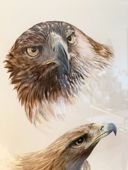 Watercolor with two royal eagle heads signed Philippe Varnardois